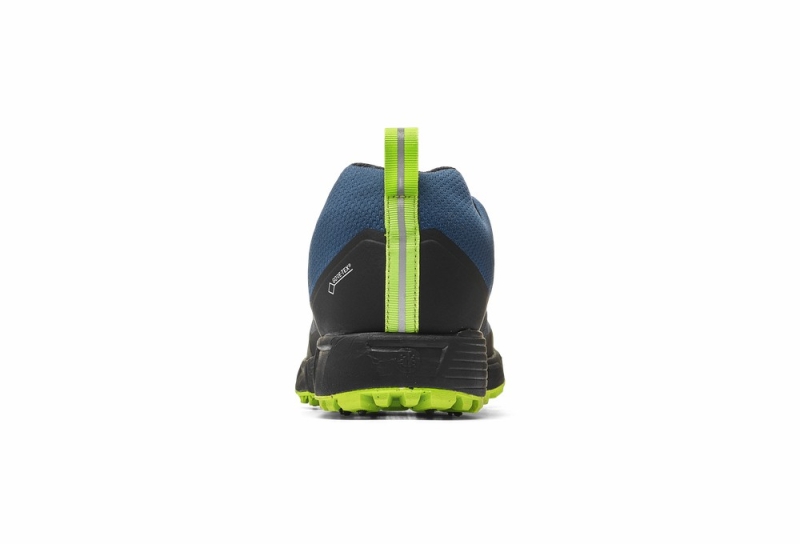 Icebug Rover BUGrip® GTX Laufschuhe Herren Blau | ZULT91407